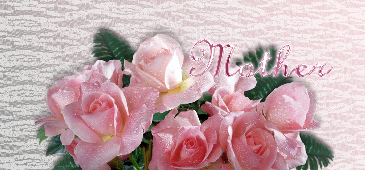 006 Mother Pink Roses